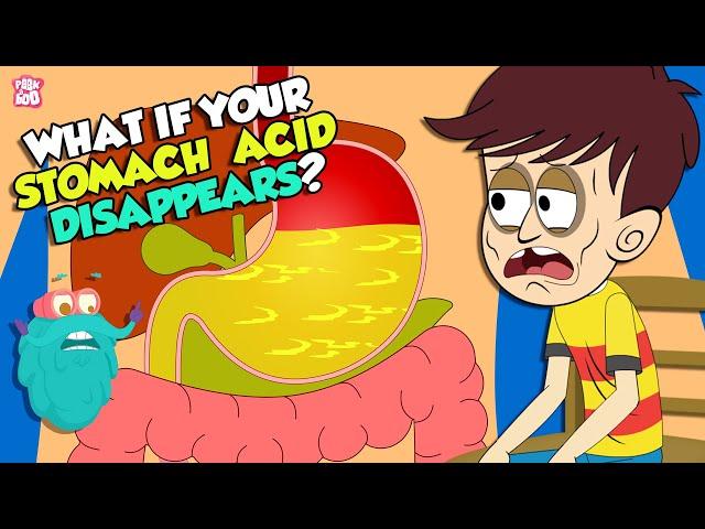 What If Your Stomach Acid Disappeared? | Gastric Acid | The Dr Binocs Show | Peekaboo Kidz