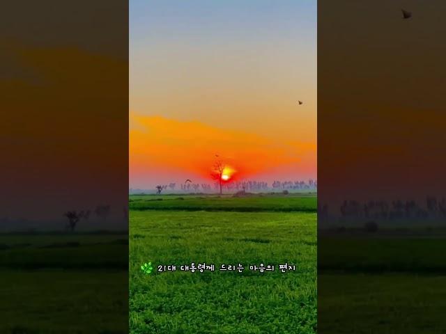  21대 대통령께 드리는 마음의 편지  #대통령 #편지 #마음 #소통 #국민