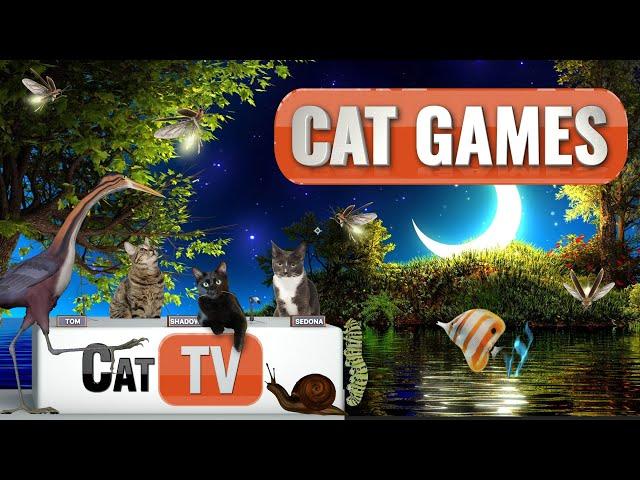 CAT Games  | 🪲 Peaceful Night Critters | Dark Screen Videos For Cats to Watch to Sleep and Relax 