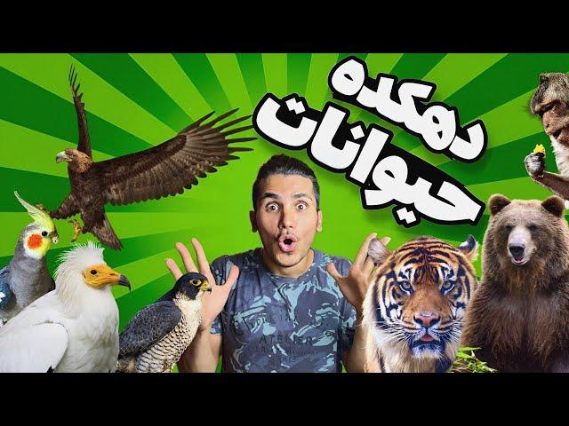 دهکده حیوانات ایران از پرنده شکاری تا گوزن شاخ مخملی رو لمس کردیم،Animal Village