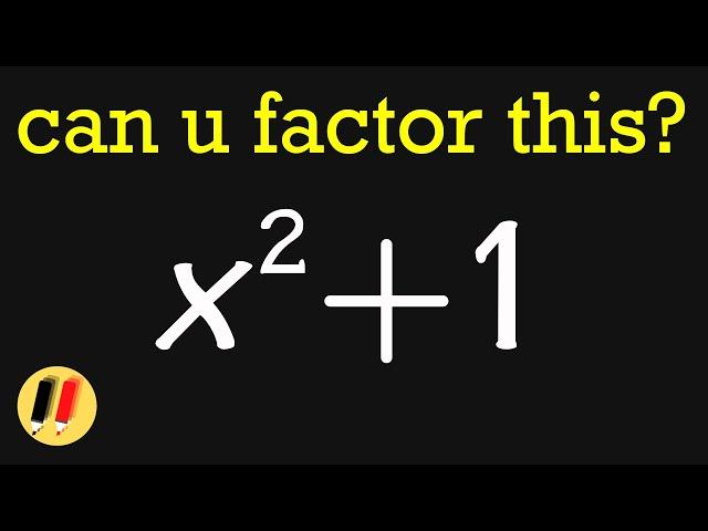 People Say "YOU CANNOT FACTOR x^2+1"