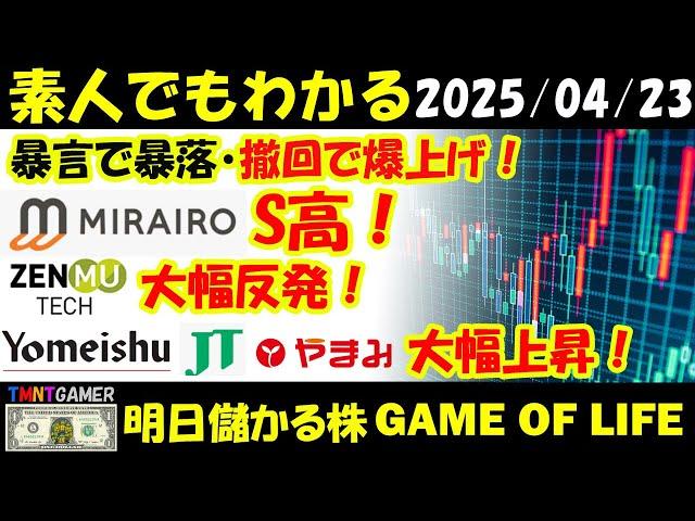 【明日のテンバガー株・高配当株】暴言で暴落・撤回で爆上げ相場！ミライロ！S高！ZenmuTech！大幅反発！養命酒！JT！やまみ！高値更新！【20250423】