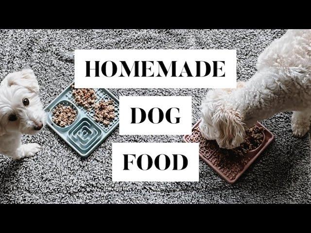   Easy, Balanced Homemade Dog Food | ajadang