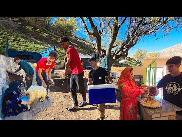 Amir's Sons Build a Barn: A Day on the Family Farm