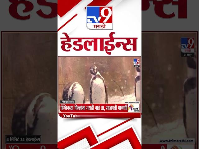 Tv9 Marathi News Top Headline Today | 31 MAY 2025 |  11 AM | 4 Minute 24 Headline Maharashtra 3