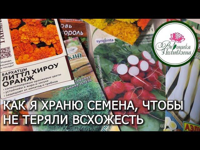 Не теряйте деньги на семенах, которые потеряли всхожесть