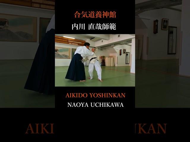 内川 直哉師範　合気道養神館　＃shorts