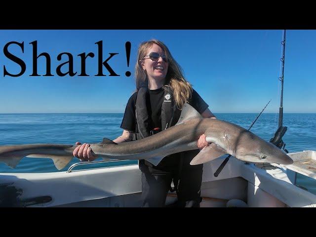 Anglesey Sharkin’ - The Hunt Goes on! - Warrior 165 Small Boat Sea Fishing