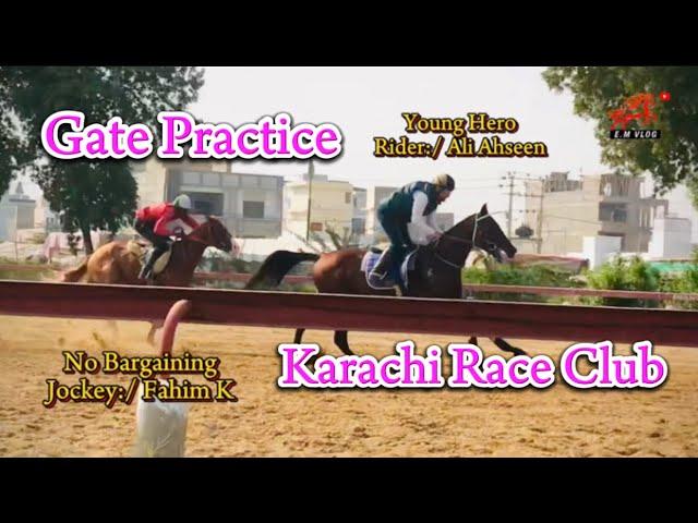 KRC | Gate Practice | Ehtisham Murtaza | Karachi Race Club #horseracing #krc #horselovers