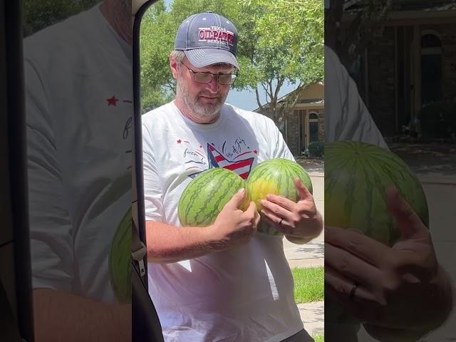 NICE MELONS; DAD JOKES #offgrid #ranch #farm #happy #life #laugh #jokes #funny #dadjokes #shorts