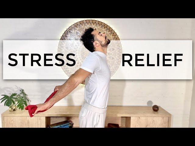 Beginner Yoga Routine For Instant Stress And Anxiety Relief