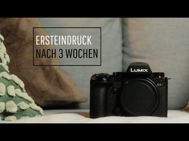 Ersteindruck Lumix S5 II | Wie gut ist sie | Foto + Video | Werde ich sie behalten?