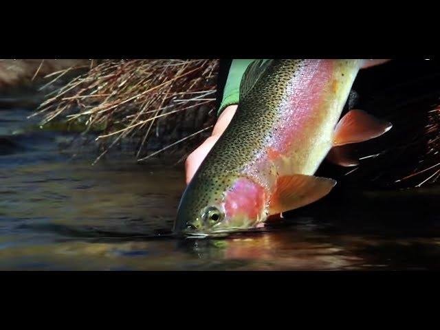 Fly Fishing Tippet - Orvis SuperStrong Plus