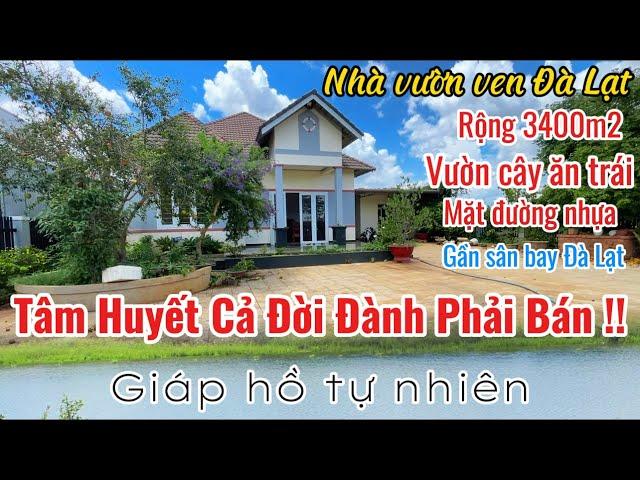 BÁN ĐI TÂM HUYẾT CẢ ĐỜI| Nhà vườn ven Đà Lạt, mặt tiền nhựa - giáp hồ rộng 3400m2, có 200m2 thổ cư