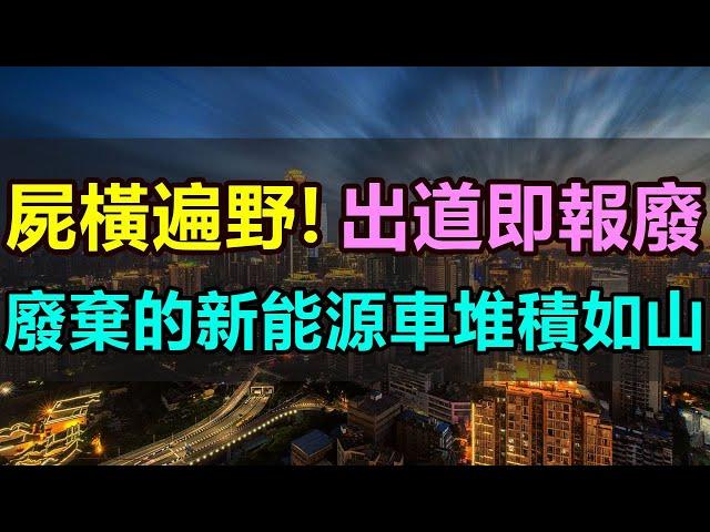 屍橫遍野！出道即報廢，廢棄的新能源汽車堆積如山！騙完補貼就被遺棄，城市邊緣到處都是新能源汽車墳墓！新能源行業產能過剩，出廠就變成工業垃圾 #新能源汽車 #汽車墳場 #共享汽車 #產能過剩#補貼#電動車