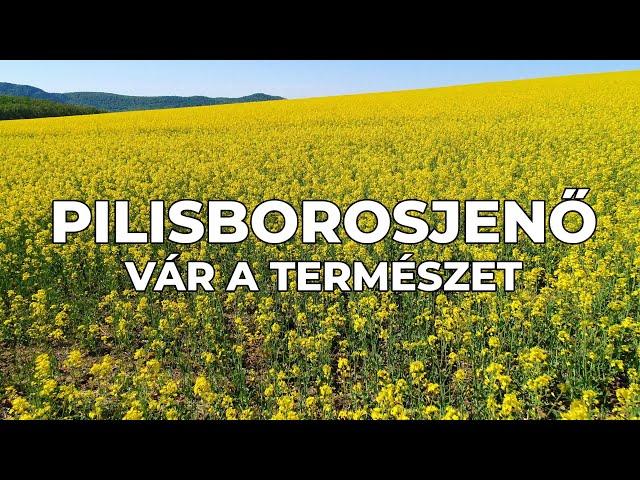 Pilisborosjenő - vár a természet | 4K