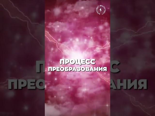 #БлагоВест  ПРОЦЕСС ПРЕОБРАЗОВАНИЯ