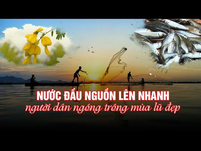 Nước đầu nguồn lên nhanh, miền Tây ngóng trông mùa lũ đẹp| Truyền hình Hậu Giang