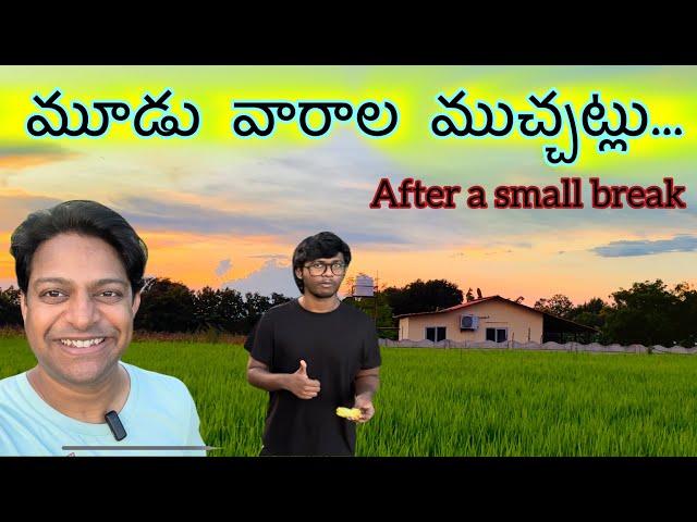 వద్దు మొర్రో అంటున్నా వస్తున్న దొండ | చామదుంప, స్టార్ ఫ్రూట్, ఉసిరి కాయ harvest @MohanaMadhilo