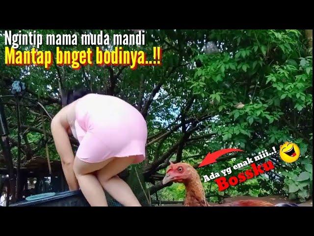 Bikin gak tahan | ngintip Tante semok sedang mandi bugil