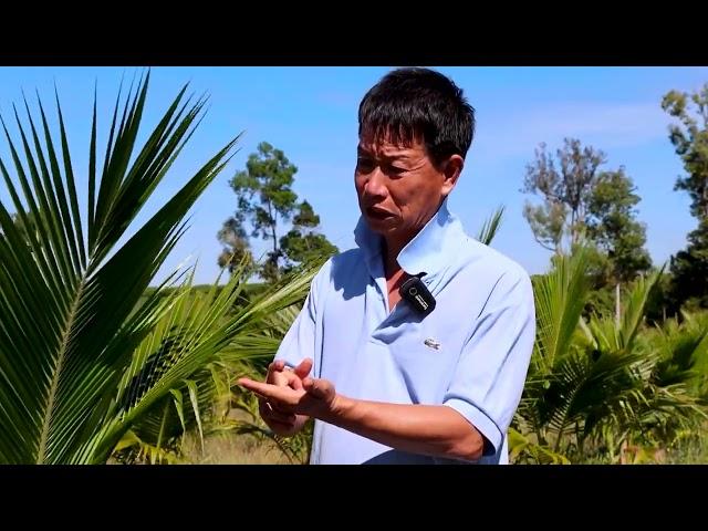 ដូងតក់ និងដូងនាឡិ / EXM Cambodia Agriculture / Khmer Agriculture