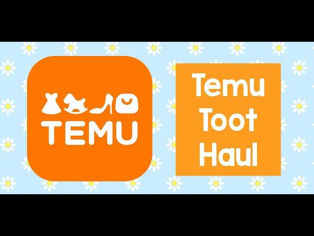 Temu Toot Haul - Feb 2024