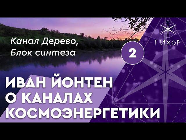 #26 Канал космоэнергетики Дерево (Блок синтеза)