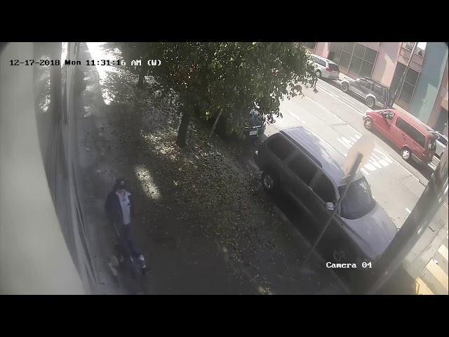 Package Thief strikes again