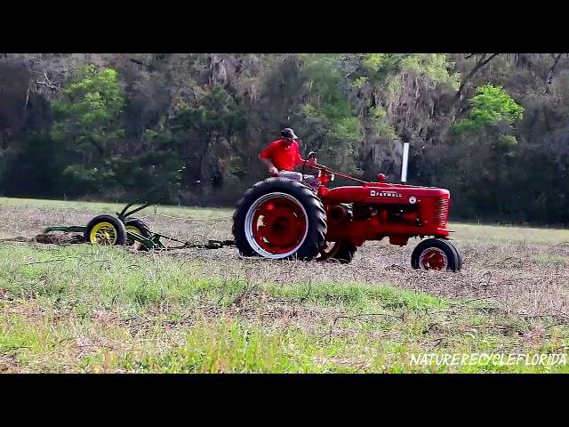 Farmall B plowing   #shorts