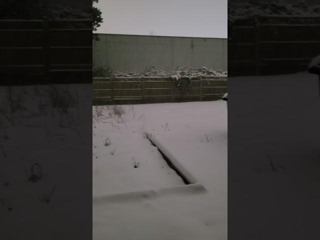 Snow fall in surrey  #surrey #Vancouver  #Canada #internationalstudents