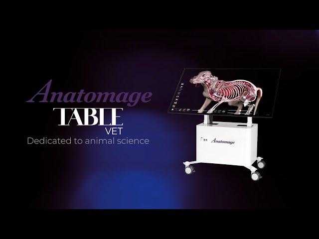 Anatomage Table Vet