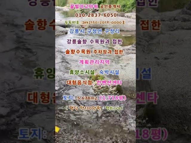 강릉시 강릉 솔향수목원 휴양소시설, 숙박시설, 대형음식점, 공동주택단지 토지 1,718평