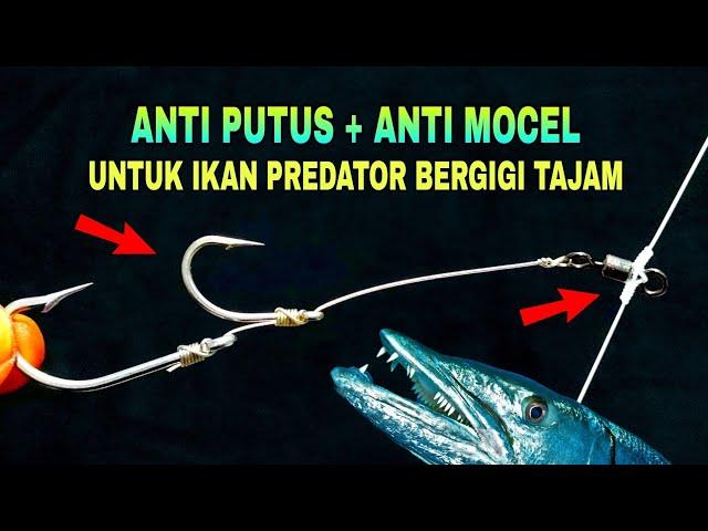 Basic fishing line for predatory fish |  anti break + anti loose