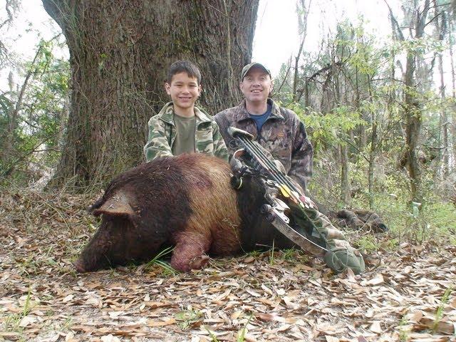 Free Range Wild Boar Bow hunt in Florida for HOGS! hunting with Dogs awesome shot by youth POV