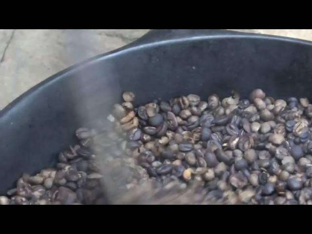 From tree to cup