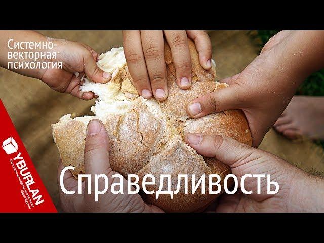 Не ищите справедливости, будьте справедливыми! Системно-векторная психология. Юрий Бурлан