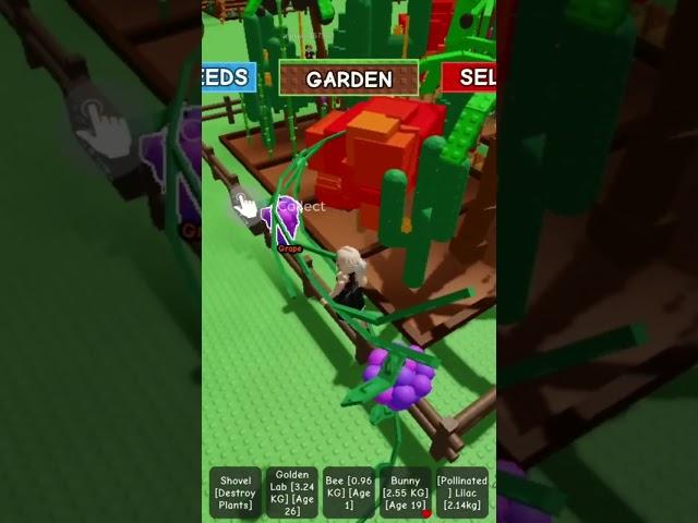 playing roblox