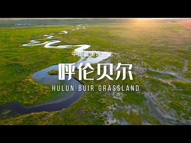 呼伦贝尔草原（Hulun Buir Grassland）