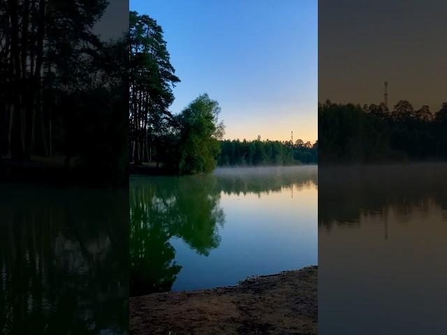 Рассвет  #туман #рассвет #озеро