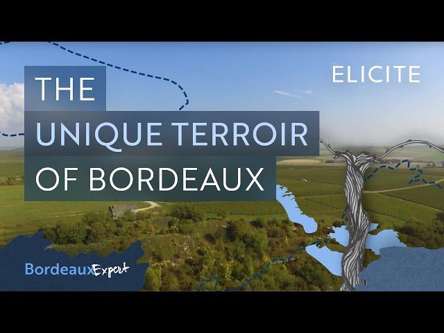 The Unique Terroir Of Bordeaux