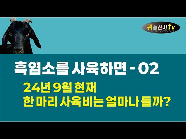 흑염소를 사육하면 02 한 마리 사육비는 얼마나 들까?