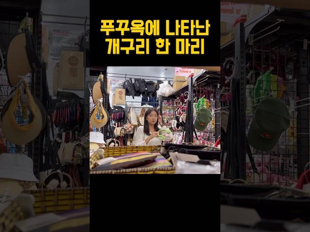 푸꾸옥에 나타난 개구리 한 마리 ㅋㅋㅋㅋ #부부 #여행 #브이로그