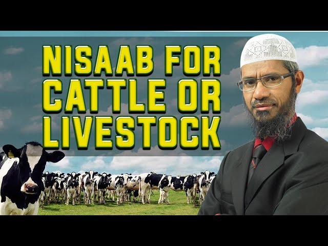 Nisaab for Cattle or Livestock – Dr Zakir Naik