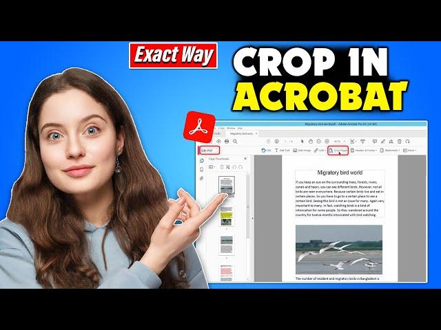 How to crop in adobe acrobat [Quick & Easy]