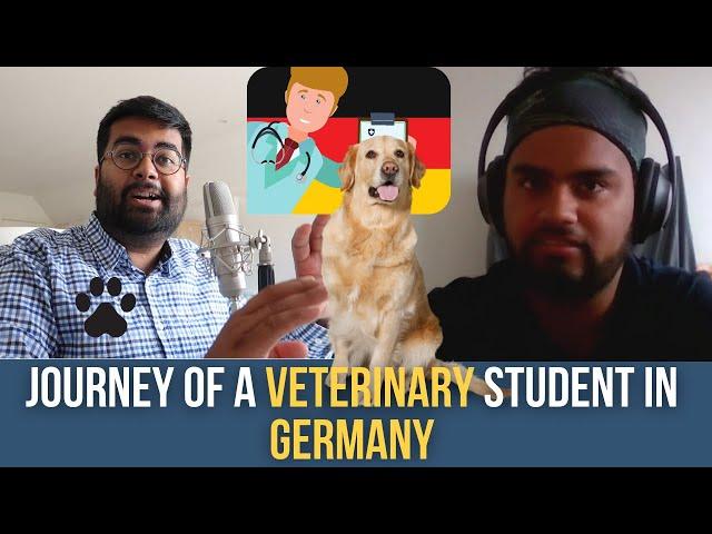 Non-Engineering Courses in Germany: How to start Veterinary studies️in Germany 