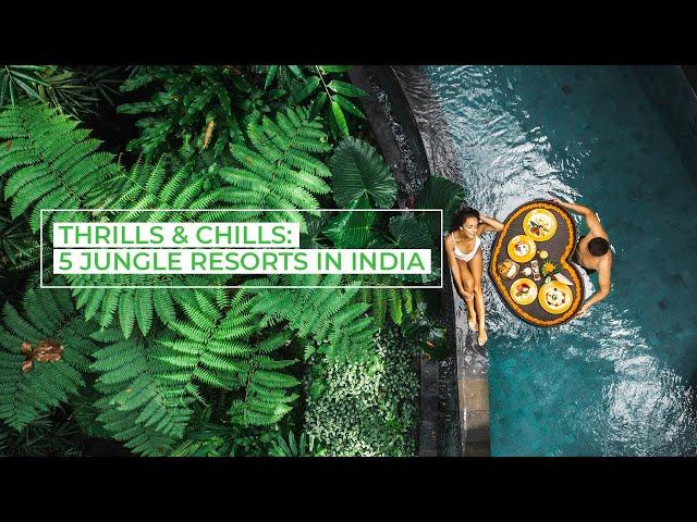 Best Jungle Resorts in India | Make Every Spend Count, with InterMiles