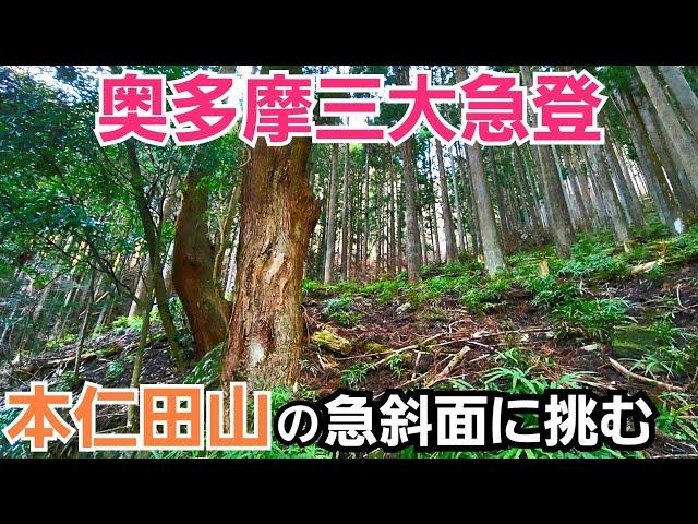 【奥多摩三大急登】本仁田山の急斜面に挑む！