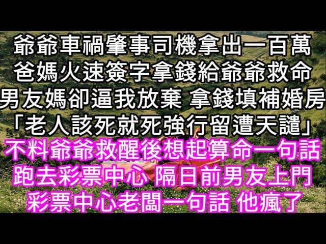 爺爺車禍肇事司機拿出一百萬爸媽火速簽字拿錢給爺爺救命男友媽卻逼我放棄 拿錢填補婚房「老人該死就死強行留遭天譴」 爺爺醒後想起算命一句話#心書時光 #為人處事 #生活經驗 #情感故事 #唯美频道 #爽文