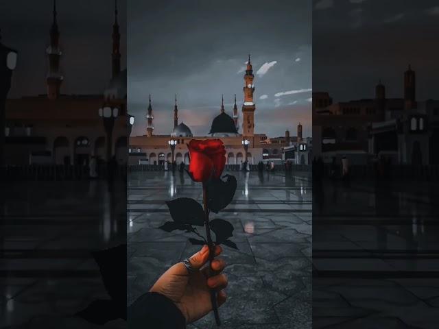 Madina Munawara Madina Munawara Madina Munawara#shahzebkhan #video #viral