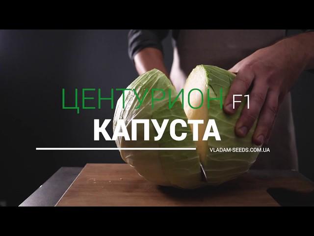 Капуста Центуріон | Смачно, як у бабусі